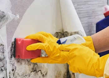 Eco Friendly Mould Solutions min