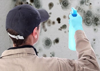 Emergency Mould Removal min