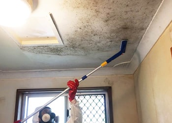 Mould Removal for Vintage Homes min